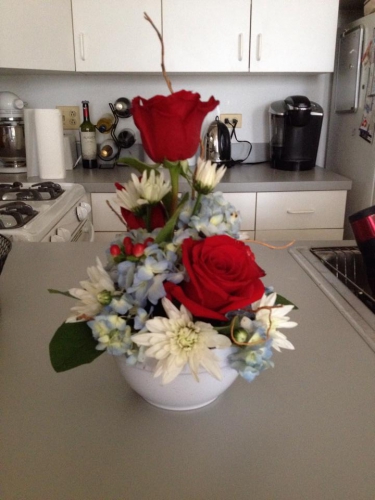 4th of July Surprise