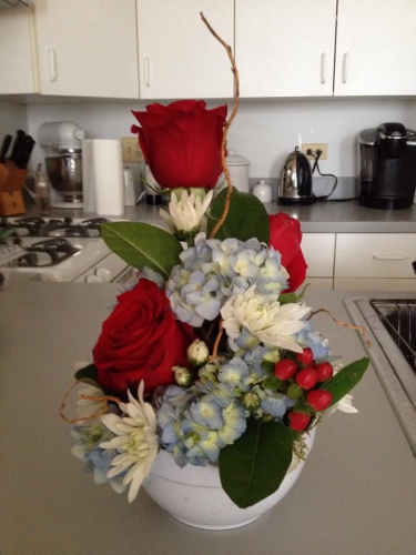 4th of July Surprise